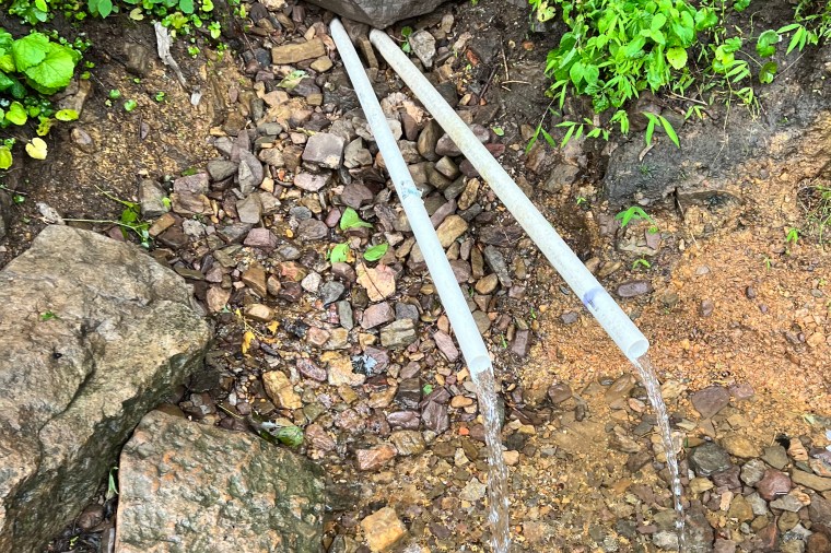 Wild Water: Cold Spring, Star Tannery, VA